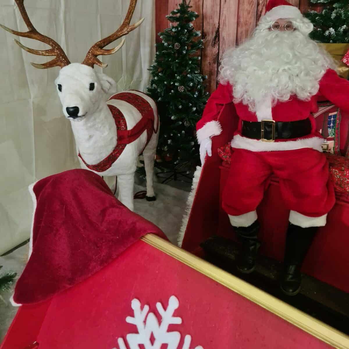 Prestation Père Noël, traineau et bonhomme de neige