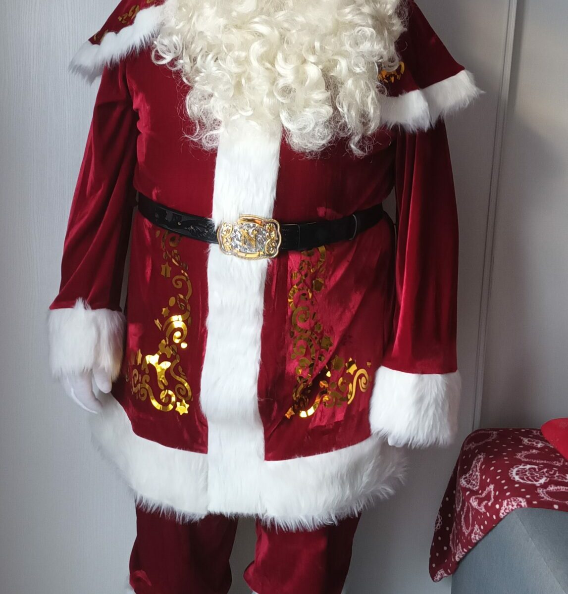 Un père Noël pour Professionnel et à domicile
